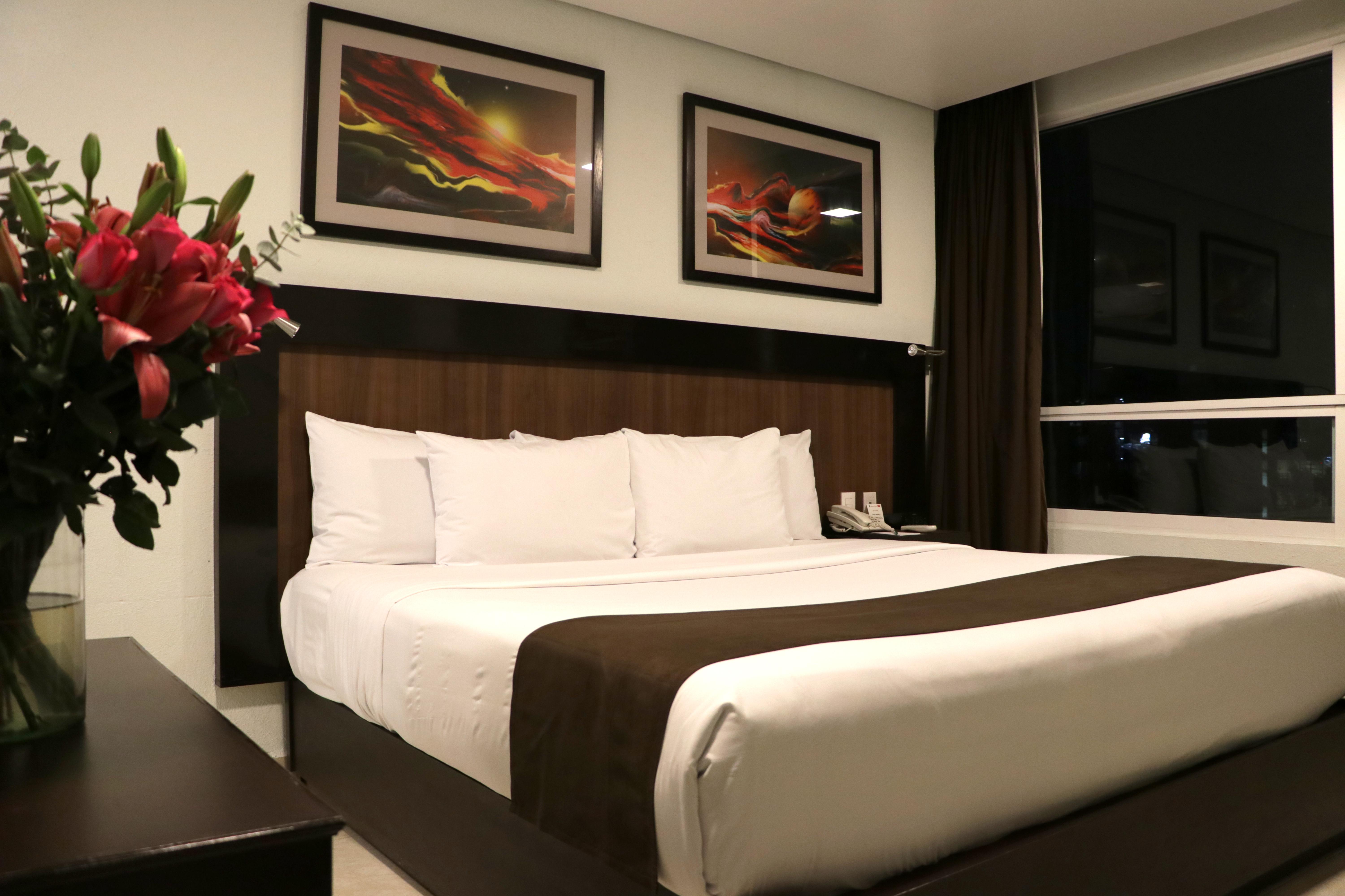 Hotel & Suites Pf Mexico City Luaran gambar